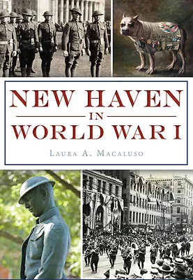 New Haven In World War I Connecticut Military Paperback • $14.29