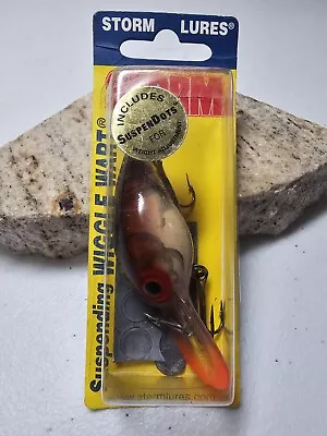 Pre Rapala Storm Wiggle Wart SV62 • $51