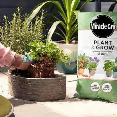 Miracle Gro Plant & Grow House Plant Potting Compost Mix All Plants 6L Bag • £7.99