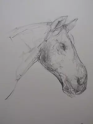 Original Pencil Drawing Study Of The Head Of A Horse On Ivory White Paper • £29.99