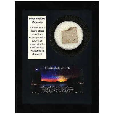 Muonionalusta Meteorite • $20