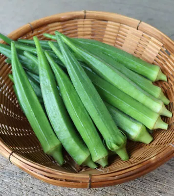 Okra  Seeds -Crimson Spineless - Vegetable Seeds - USA Grown -Non GMO • $50.05