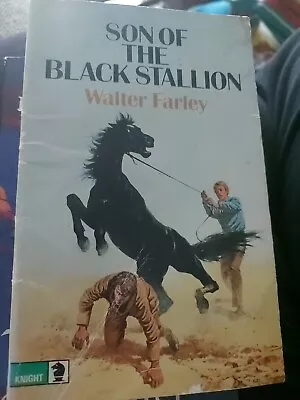 SON OF The BLACK STALLION  By Walter Farley TEEN HORSE FICTION  Paperback • £5.66