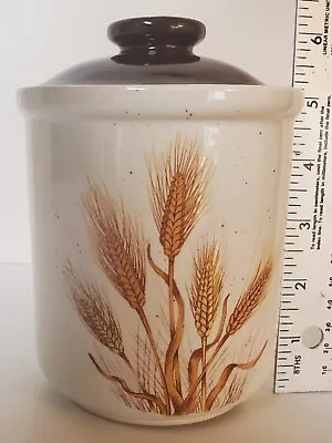 Vintage Main Aisle Collection Stoneware BUCKWHEAT Canister Japan Brown Lid • $15.99