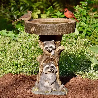 Resin Raccoon Birdbath Polyresin Antique Garden Bird Bath For Home Garden Ya  Sp • £13.04