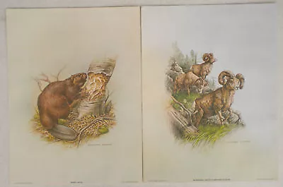 Set Of 16 Michael Dumas Prints Quaker Oats Collection  • $195