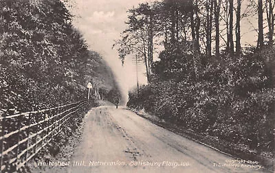 R230315 Whitesheet Hill. Netheravon. Salisbury Plain. 106. Fuller. Amesbury • £6.75