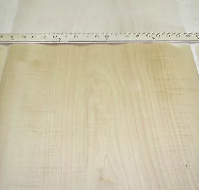 Curly Figured Maple Wood Veneer 24  X 48  With Peel Stick PSA Adhesive A Grade • $67.50