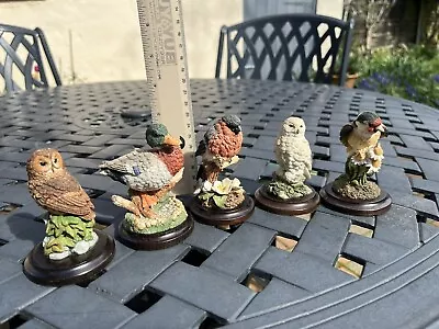 Country Artists Birds Figurines • £20