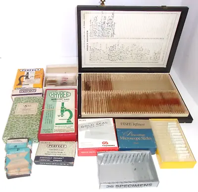 Vintage 190+ Prepared Microscope Slides - Insects Flora Microorganisms Animals++ • $163