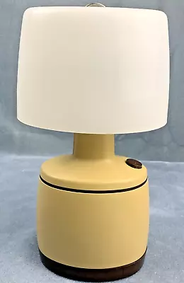 Vintage BMG Lantern Indoor/Outdoor Battery Powered Camping Lamp  WORKS! • $16