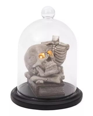 MARTHA STEWART 8in Led Lighted Skull In Cloche • $28.88