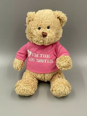 GUND 12” I’m The Big Sister Teddy Bear Pink Shirt Stuffed Animal Toy • $8.80