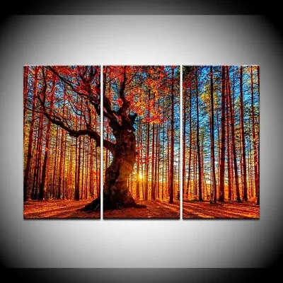 Autumn Forest Sunset 3 Piece Canvas Print Wall Art Poster Home Decoration • $103.85