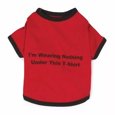Dog Cat Feline Apparel Clothes  Zack & Zoey  Red Nothing Under This Tee Shirt • $10.99