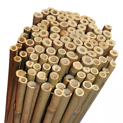 2FT 3FT 4FT 5FT 6FT Bamboo Canes Strong Thick Garden Plant Support Sticks • £6.99
