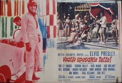 SPINOUT Italian Fotobusta Movie Poster 5 ELVIS PRESLEY 1966 VERY RARE • $200