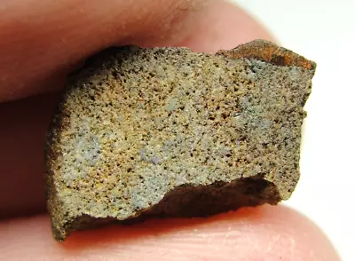 NWA 7401 Enstatite EL-melt Chondrite Meteorite - G244-0296 - 0.98g COA - End Cut • $0.99