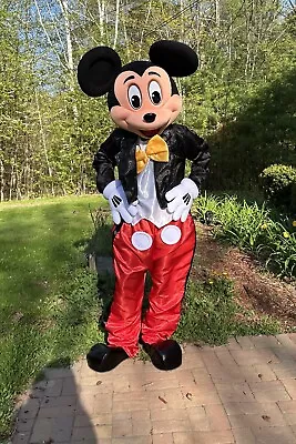 Mickey Mouse Mascot Costume Adult • $500