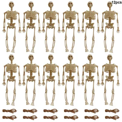 12x Small Plastic Full Body Skeleton Prop Halloween Skeleton Skull Home Hanging • £7.99