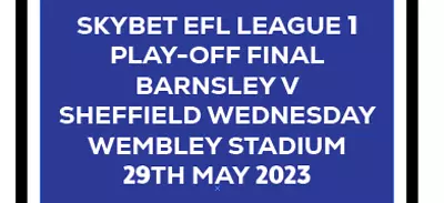 £10 • Buy Sheffield Wednesday Play Off FInal 2023 Match Detail Football Shirt Soccer Iron
