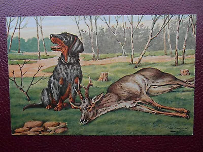 J BUNGARTZ Dachshund Teckel Dackel Dog Stag Hunting *Vintage* Artist Drawn C1905 • £3.99