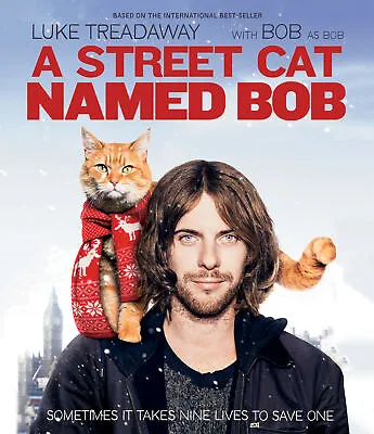 A Street Cat Named Bob [DVD] [2016] [NTS Blu-ray***NEW*** FREE Shipping Save £s • £17.47