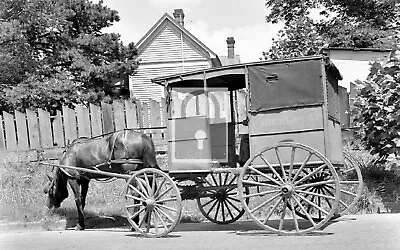 Horse Drawn US Mail Wagon Marshall Texas TX Reprint Postcard • $9.99