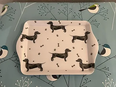 Sausage Dog / Dachshund Dexter Trinket Tray New Gift • £6