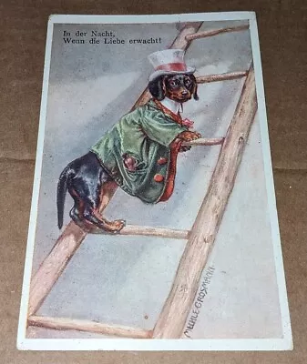 Dachshund Postcard  Anthropomorphic Dog Climbing Ladder Art Card German Grosmann • £18.98