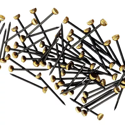 Brass Head Picture Pins Nail Photo Frame Hanging Headed Hardened Tack Steel Bulk • £1.29