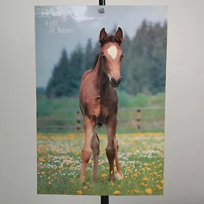 Vtg Horse Foal Inspirational School Poster Laminated Growth Is A Gift Of Nature • $19.95