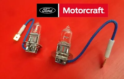 Ford Motorcraft Driving Light Globes (2) Xw Xy Xa Xb Gs Gt Xc Xd Xe Esp Xf Au • $22