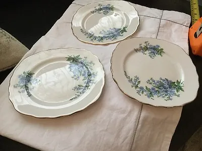 £7.99 • Buy Royal Osborne Blue Flower China Tea Side Plates
