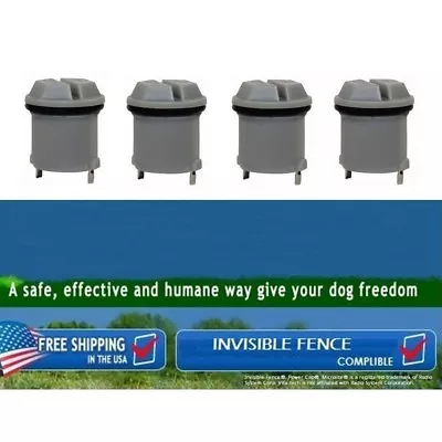 Replacement Battery For Invisible Fence Dog Collar R21/R22/R51/Microlite X 4 Pcs • $22.95