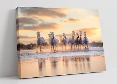 Wild White Horses Running On Water Sunset Canvas Wall Artwork Picture Print • £14.99