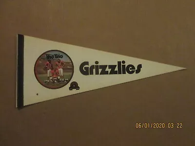 WFL Memphis Grizzlies Vintage Defunct Circa 1970's The Trio Photo Logo Pennant • $75