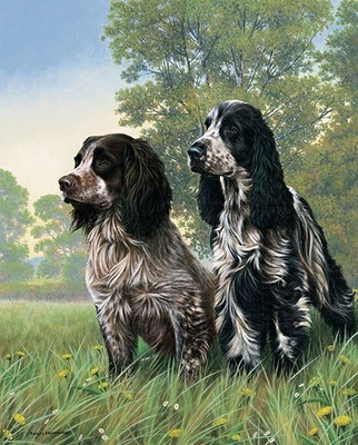 £49 • Buy Nigel Hemming COCKER TWO Springer Spaniels, Art Canine Ltd Edition  #1