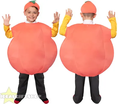 Childs James And The Giant Peach Costume World Book Day Character Fancy Dress • £5.99