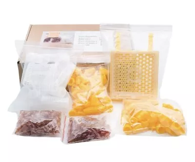 Queen Rearing System - JENTER Bee Queen Rearing System Set - US SELLER • $29.99