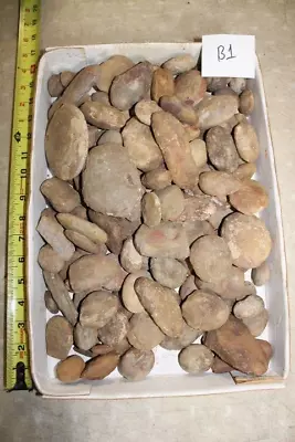 1 Large Box Full Mazon Creek Fossil Fossils Unopened Concretions Lot B1 • $89.95