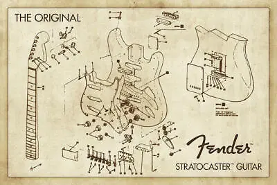 Fender Stratocaster Guitar Diagram Poster - 36  X 24  • $13.49