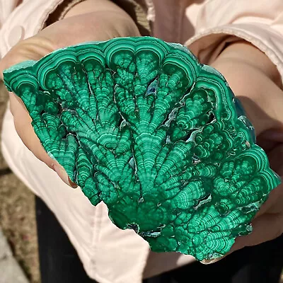 291G Natural Glossy Malachite Transparent Cluster Rough Mineral Sample • $34.68