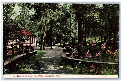 1907 An Avenue In Ziegler's Park Mayville Wisconsin WI Antique Postcard • $14.98