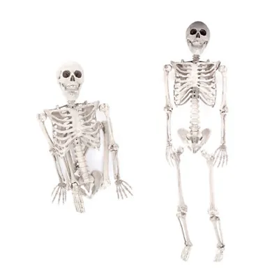 3ft 35  Halloween Party Decoration Full Life Size Props Poseable Human Skeleton • $23.49