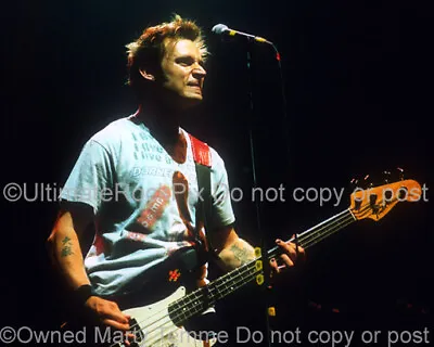 MIKE DIRNT PHOTO GREEN DAY 8x10 Concert Photo Marty Temme Punk Rock Bass • $28.95