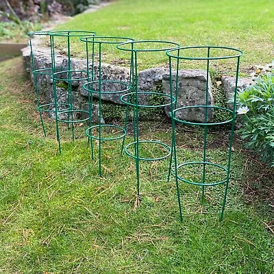 £19.99 • Buy Pack Of 5 Metal Conical Garden Plant Support Rings (48cm) Herbaceous Stake