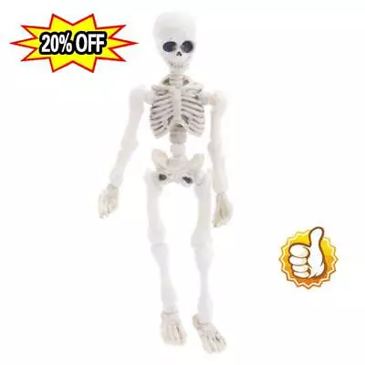 HOT Halloween-Movable Man Skeleton Human Model Skull Full Body Mini Figure Toy • $4.05