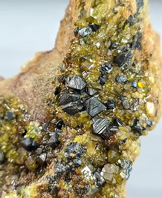 Magnetite With Green Epidote Cluster On Matrix From Afghanistan. • $30