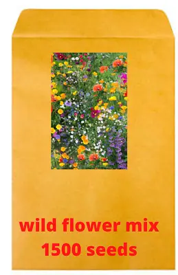 Wild Flower Seed Mix 21 Annual Meadow Plants Bees Butterfly No Grass 2000 Seeds • £2.99